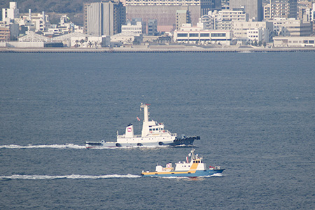 Escort Tug Service